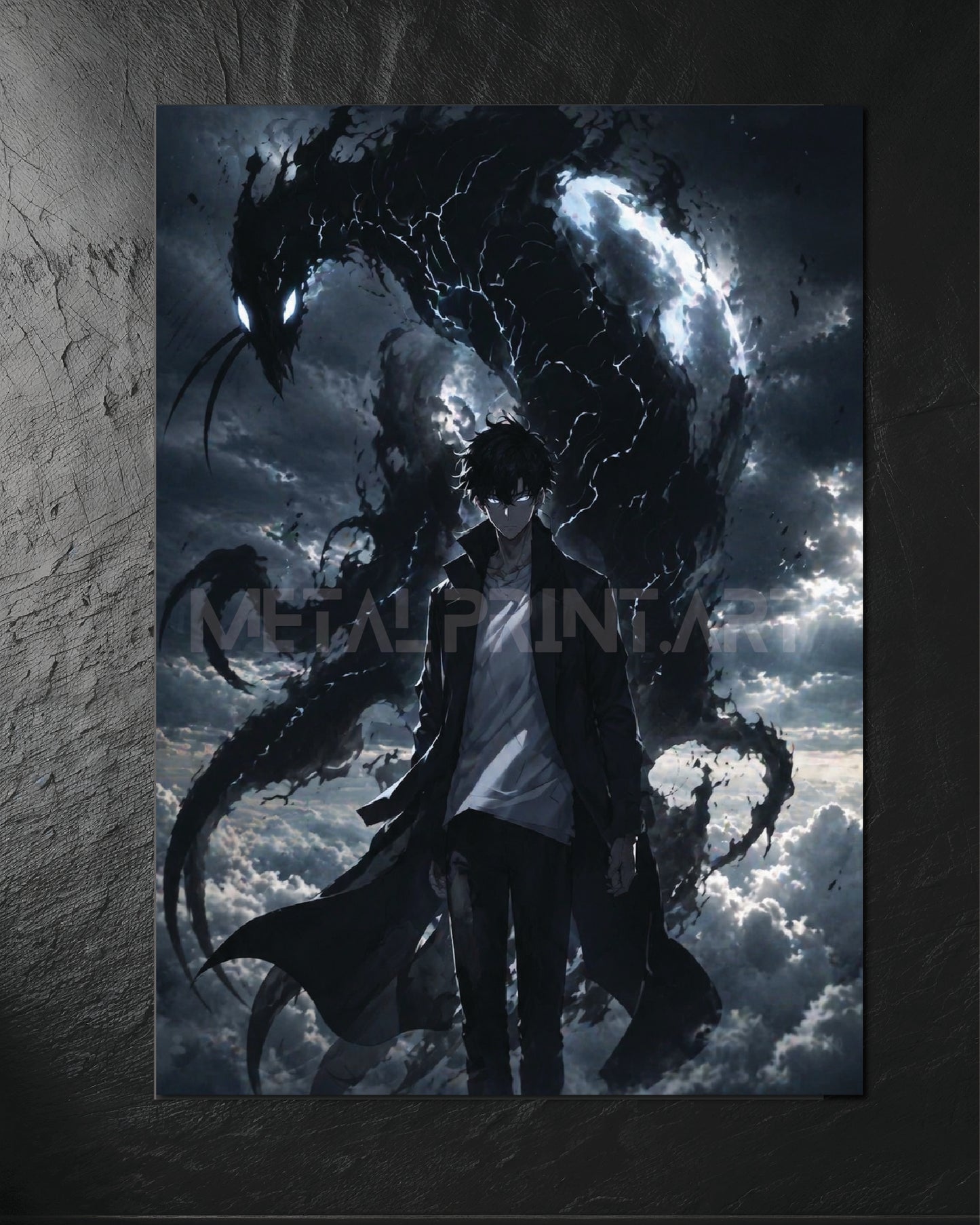 Cuadro Metalico Sung Jinwoo Black and White