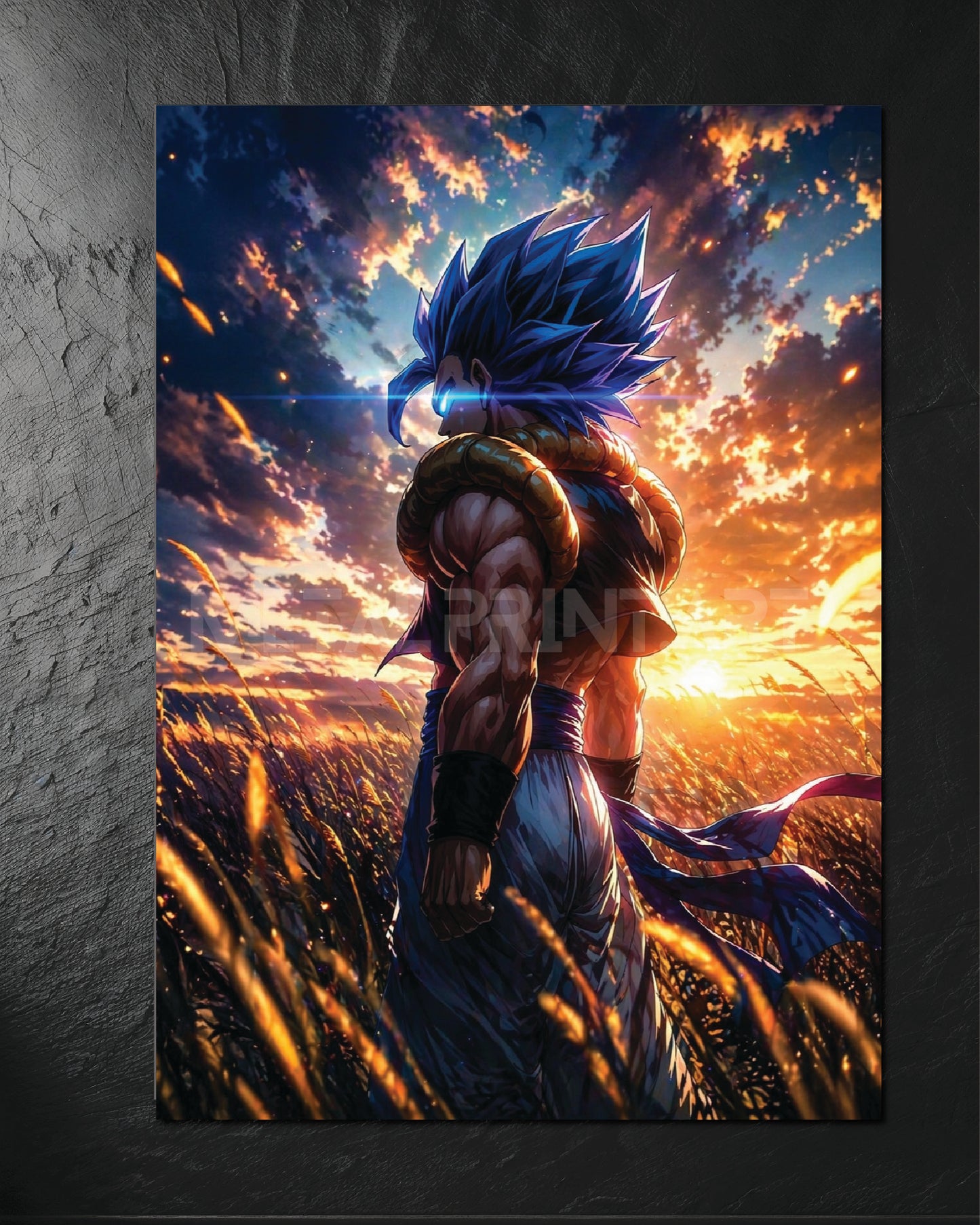Cuadro Metalico Gogeta Epic