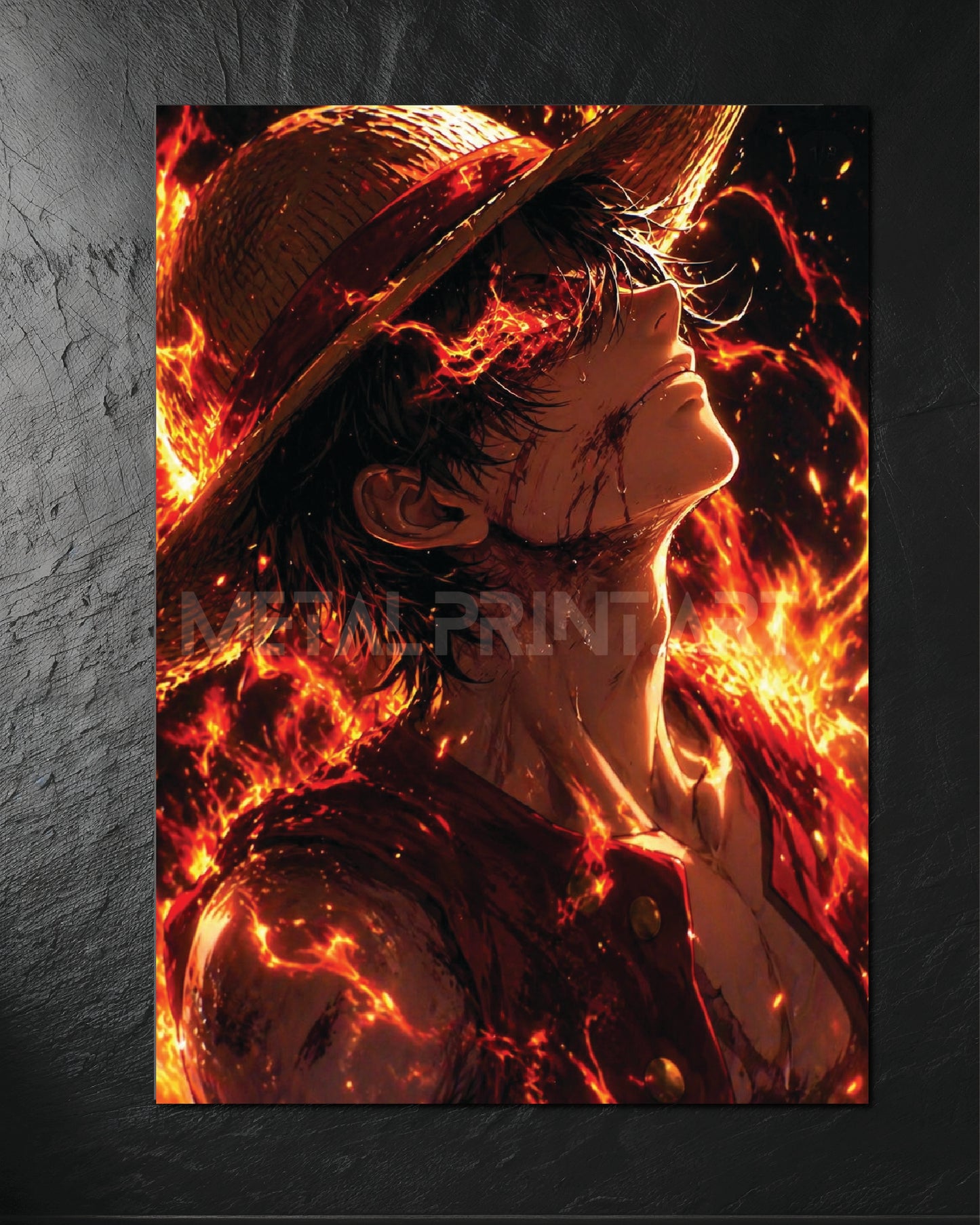 Cuadro Metalico Luffy Fire